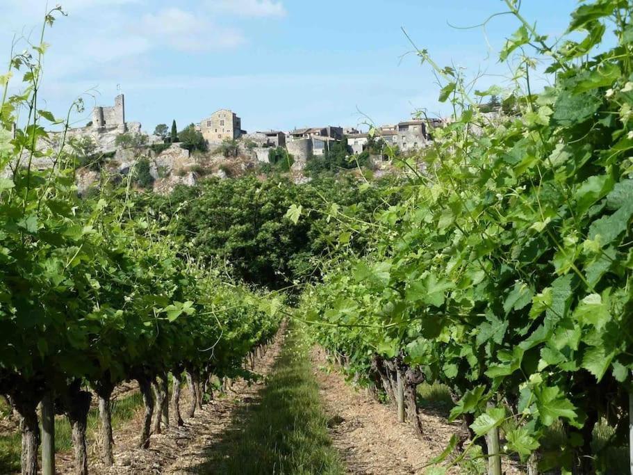 Appartement Neuf Avec Spa Saint-Martin-dʼArdèche エクステリア 写真